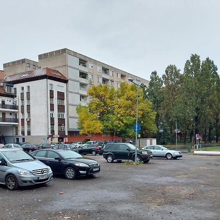 Central Gallery Apartment Debrecín Exteriér fotografie